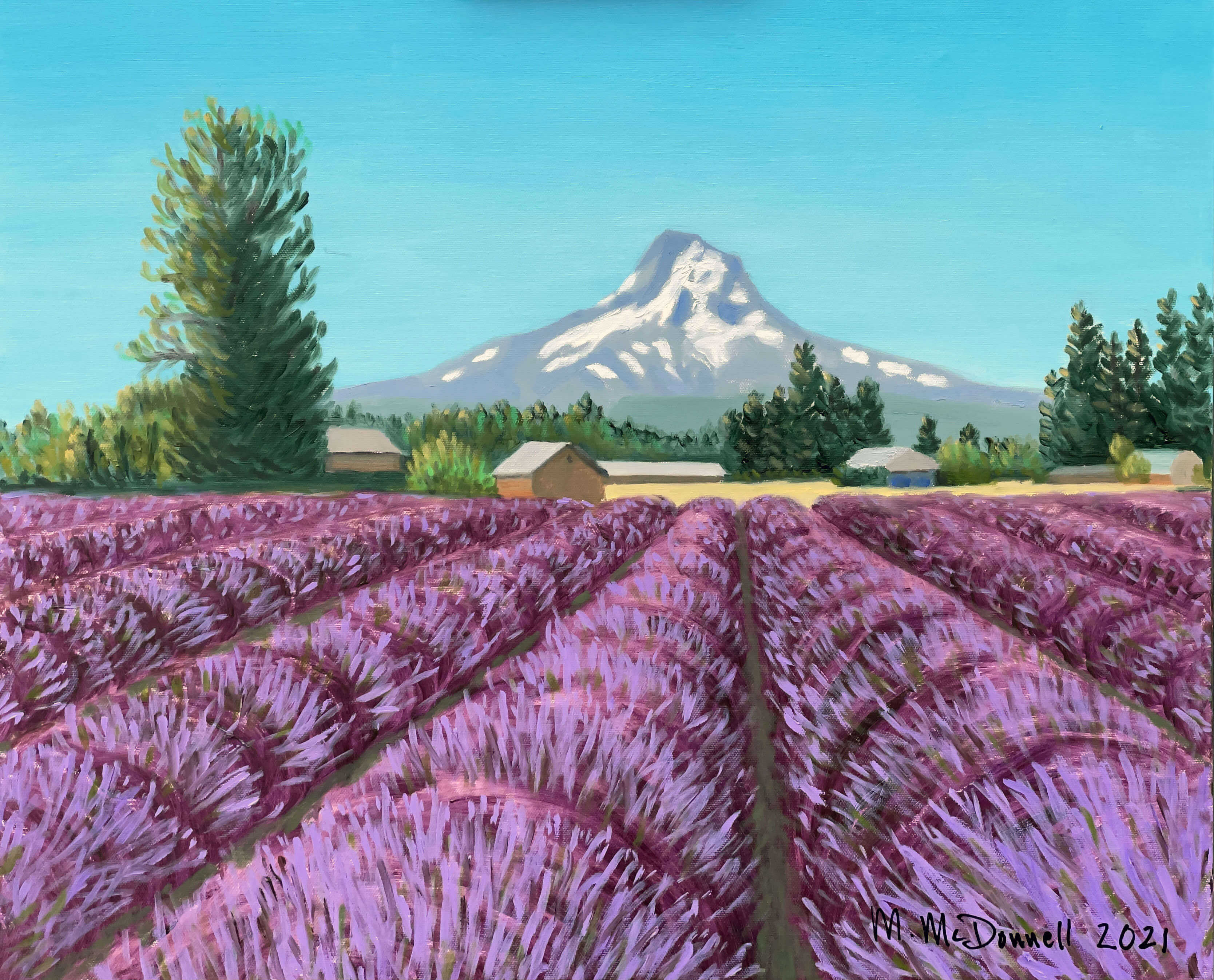 Hood River Lavender Fields