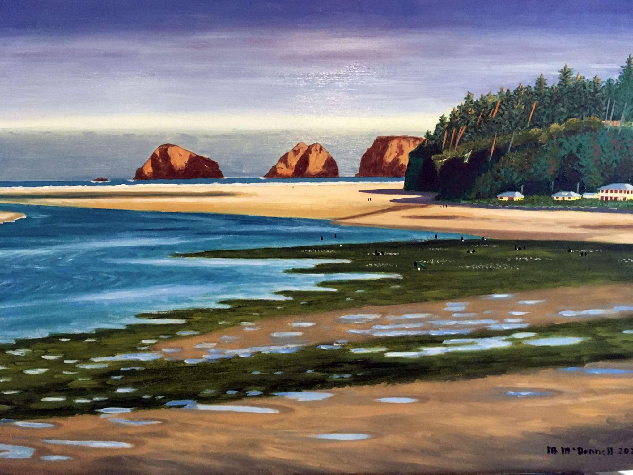 Minus Tide at Netarts Bay